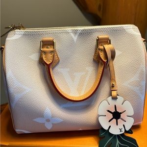 Louis Vuitton by the pool speedy 25